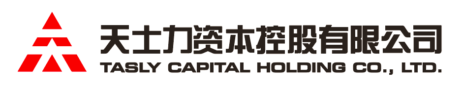 凯发K8官网资本控股有限公司